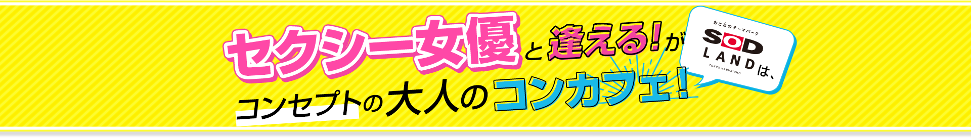 SOD LANDは「セクシー女優と逢える！」がコンセプトの大人のコンカフェ！